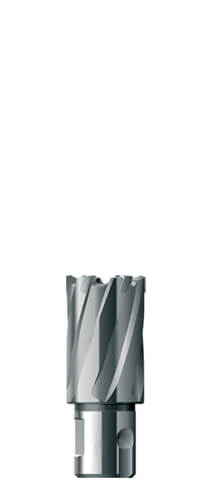 Кольцевая фреза TCT 17x35